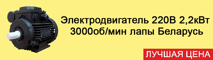 Электродвигатель 220В АИР Е 3000об/мин